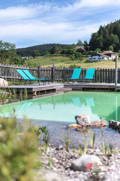 Le Domaine Des Fleurs - Appartement La Gentiane Gérardmer Buitenkant foto